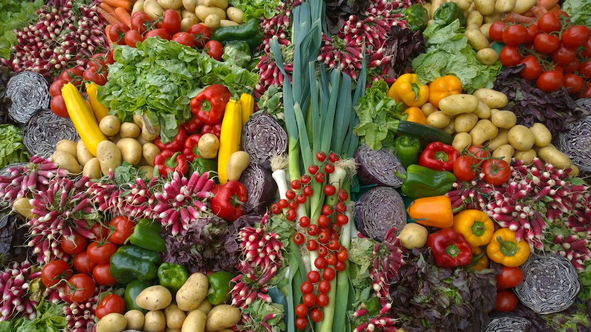 Nutritionist reviewing food journal notes